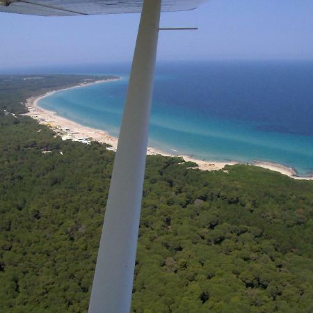 Felline Linda Casa Vacanze מראה חיצוני תמונה