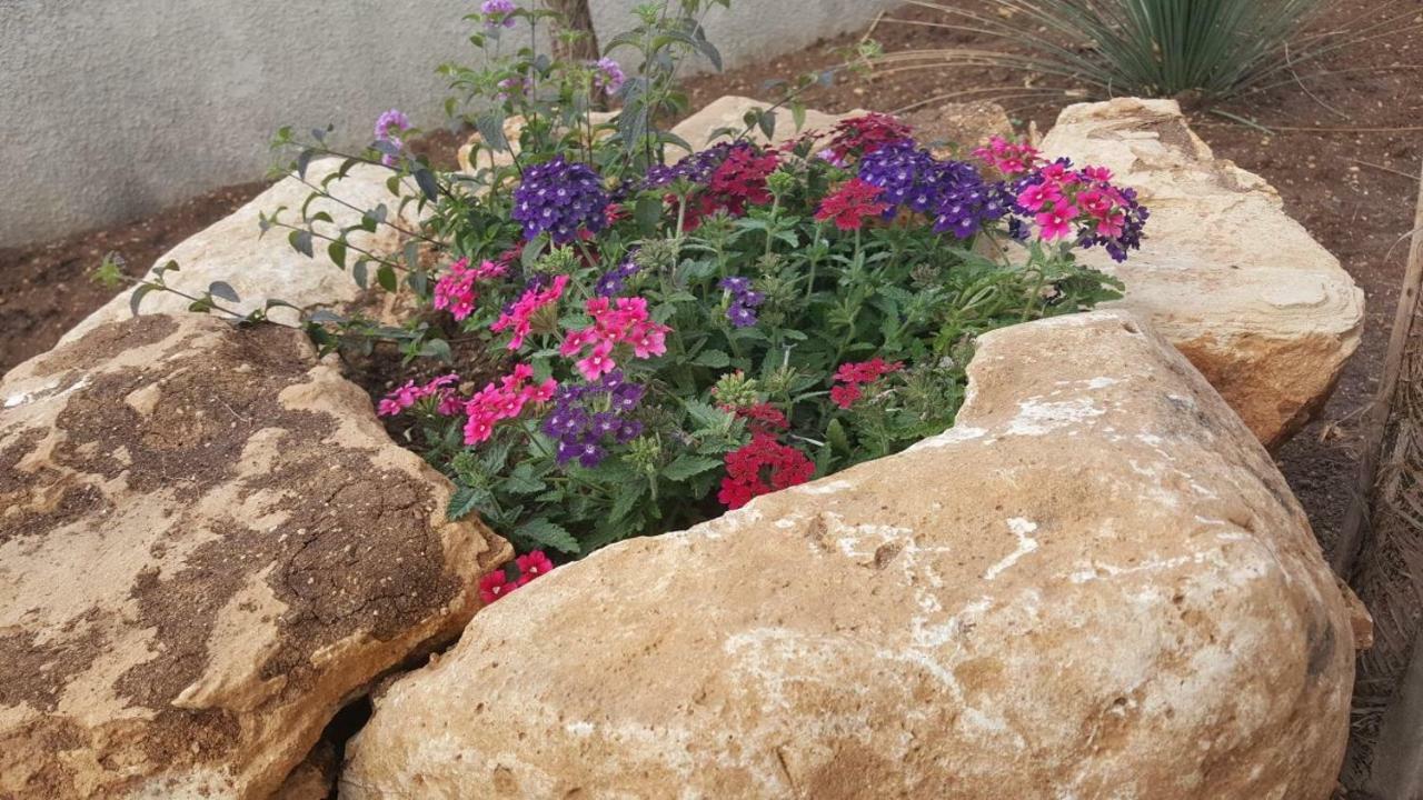 Felline Linda Casa Vacanze מראה חיצוני תמונה